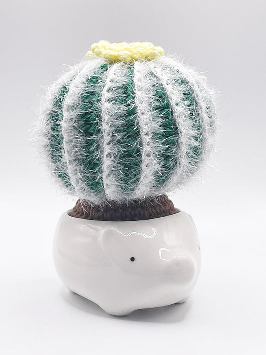 crochet cactus- chubby