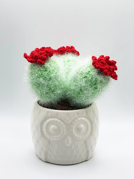 Crochet Cactus - Fuzzy