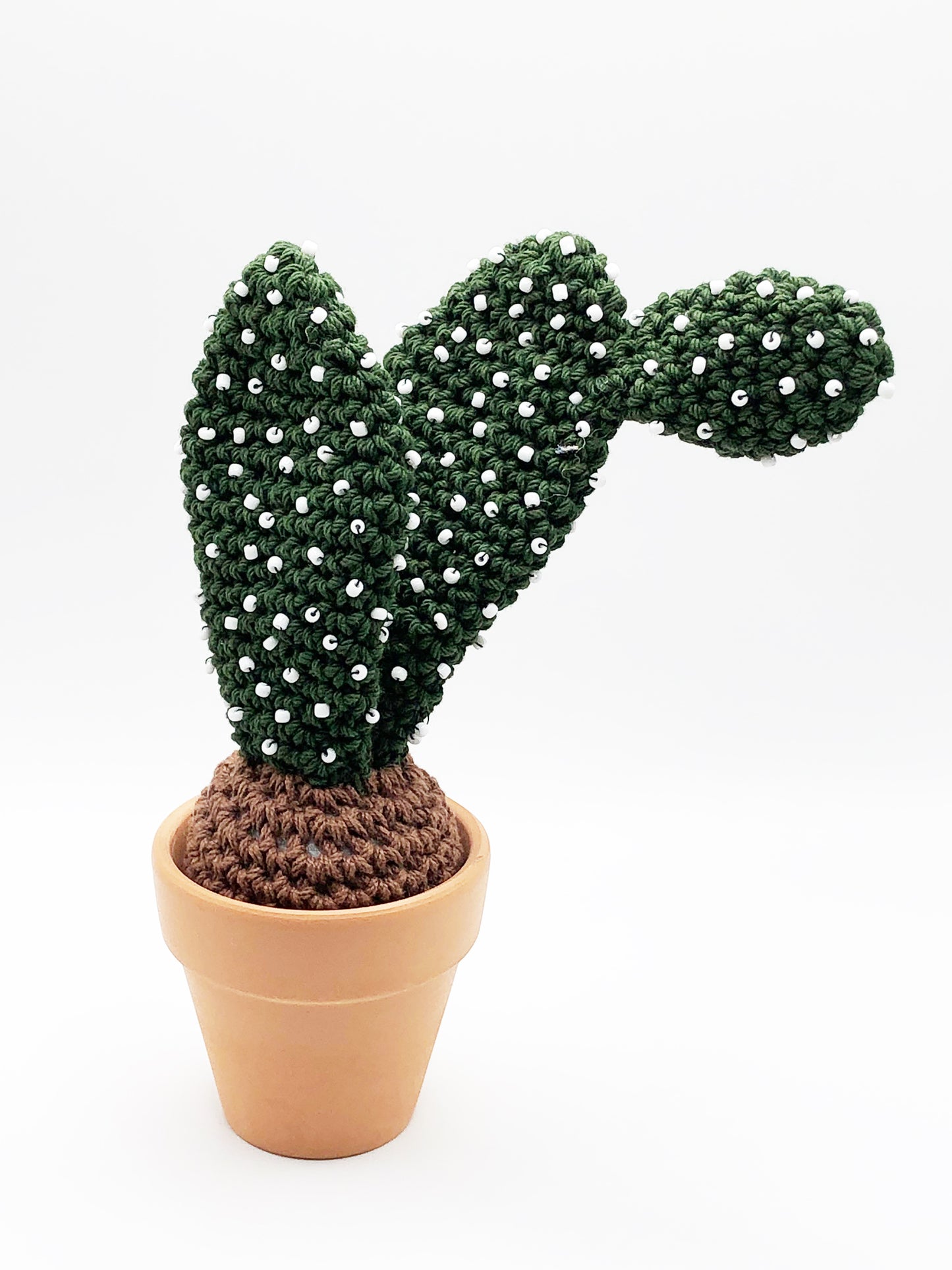 Crochet Cactus