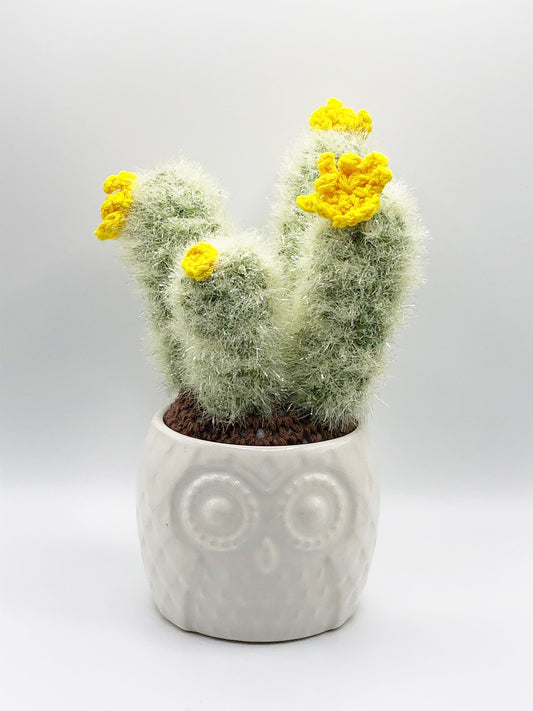 Crochet Cactus -  Fuzzy