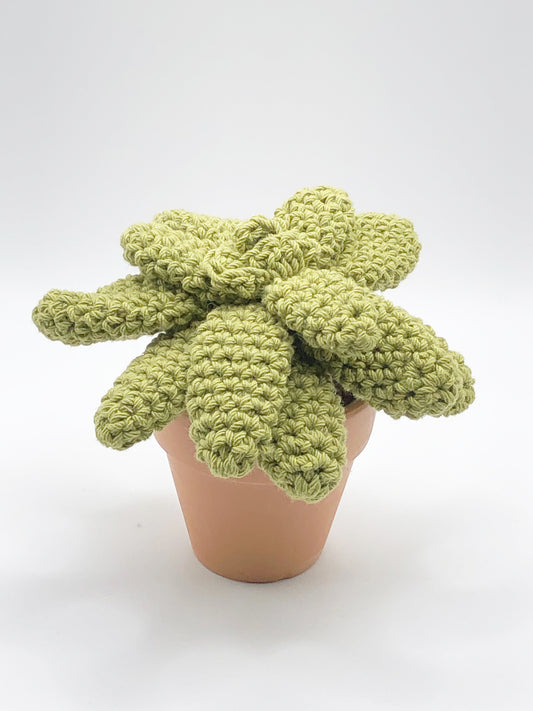 Crochet Cactus