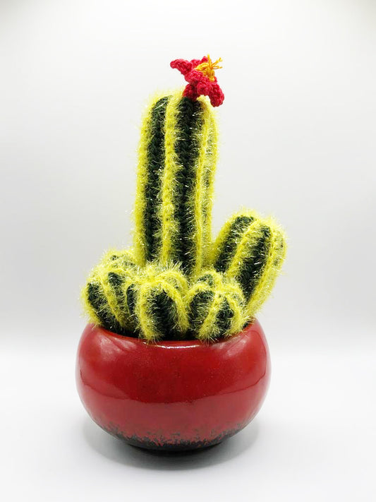 Crochet Cactus