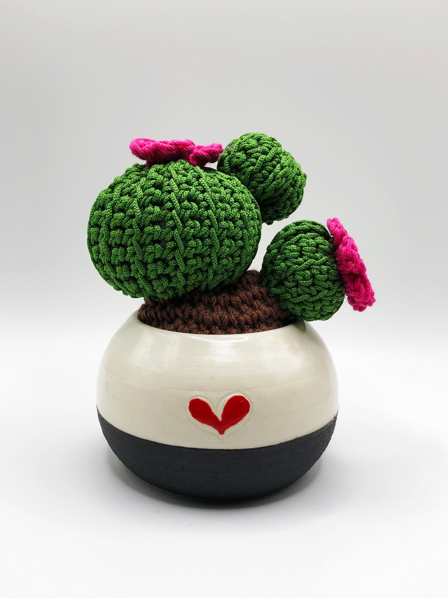 Crochet Cactus - Chubby